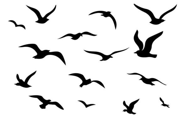 Flying Bird SVG Bundle - Seagull SVG PNG