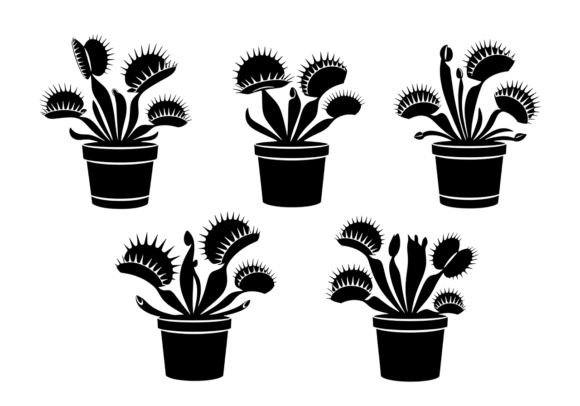 Venus Fly Trap Plant Vector Icons